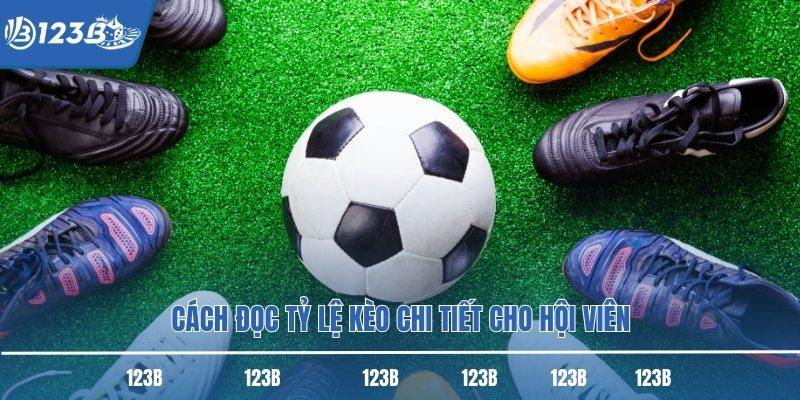 Cách đọc tỷ lệ kèo chi tiết cho hội viên