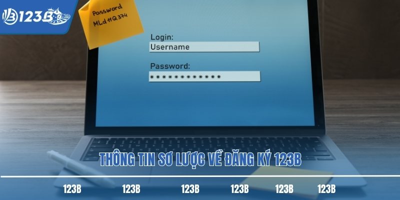 Thông tin sơ lược về đăng ký 123B