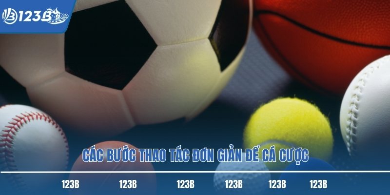 Các bước thao tác đơn giản để cá cược