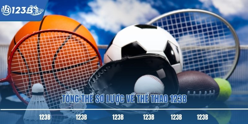 Tổng thể sơ lược về thể thao 123B
